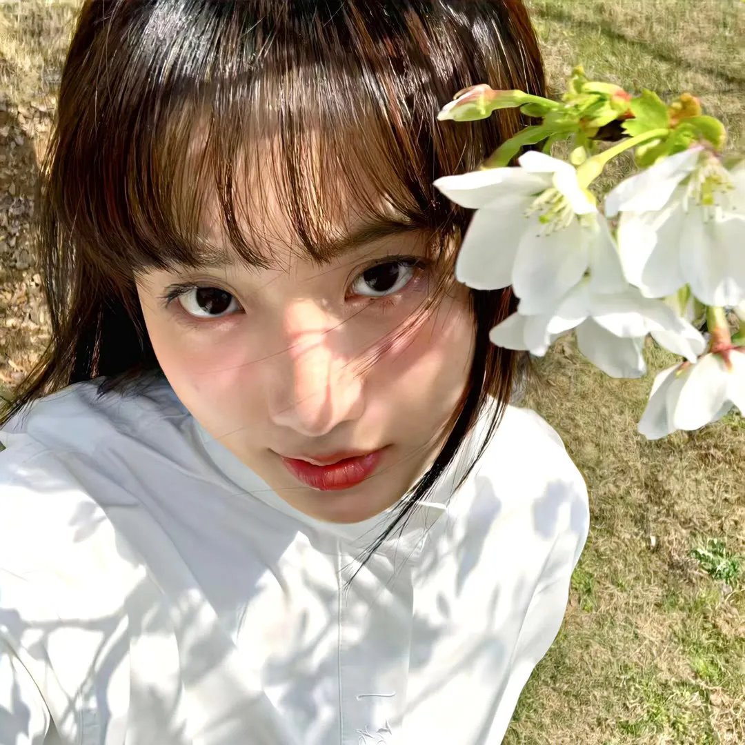 朕的妙妃是暴君